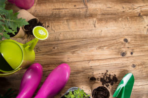 Outdoor gardening tools and herbs